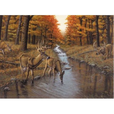 Peinture par Numéros Royal & Langnickel (30x45cm) - Symond's Creek